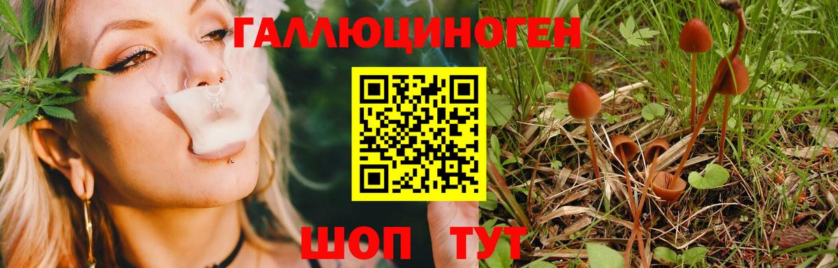 Белогорск  Галлюциногенные грибы прущие грибы  Вход с VPN 