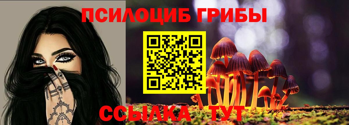 Галлюциногенные грибы мицелий Белогорск